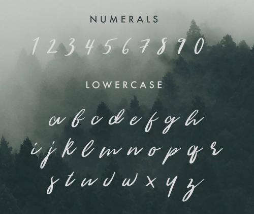 Woodlands Font