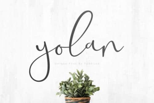 Yolan Unique Script Font