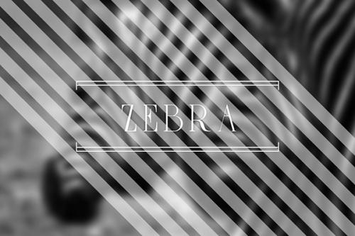 Zebrazil Font