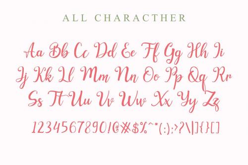 Zolleha Calligraphy Font