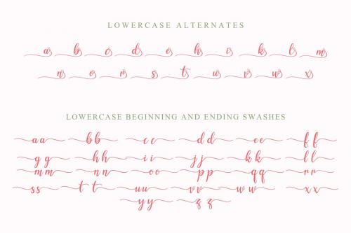 Zolleha Calligraphy Font