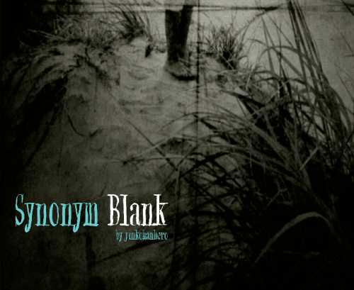synonym blank font